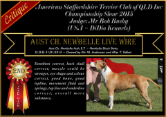 Class 5a ~ 2nd ~ Newbelle Live Wire.png